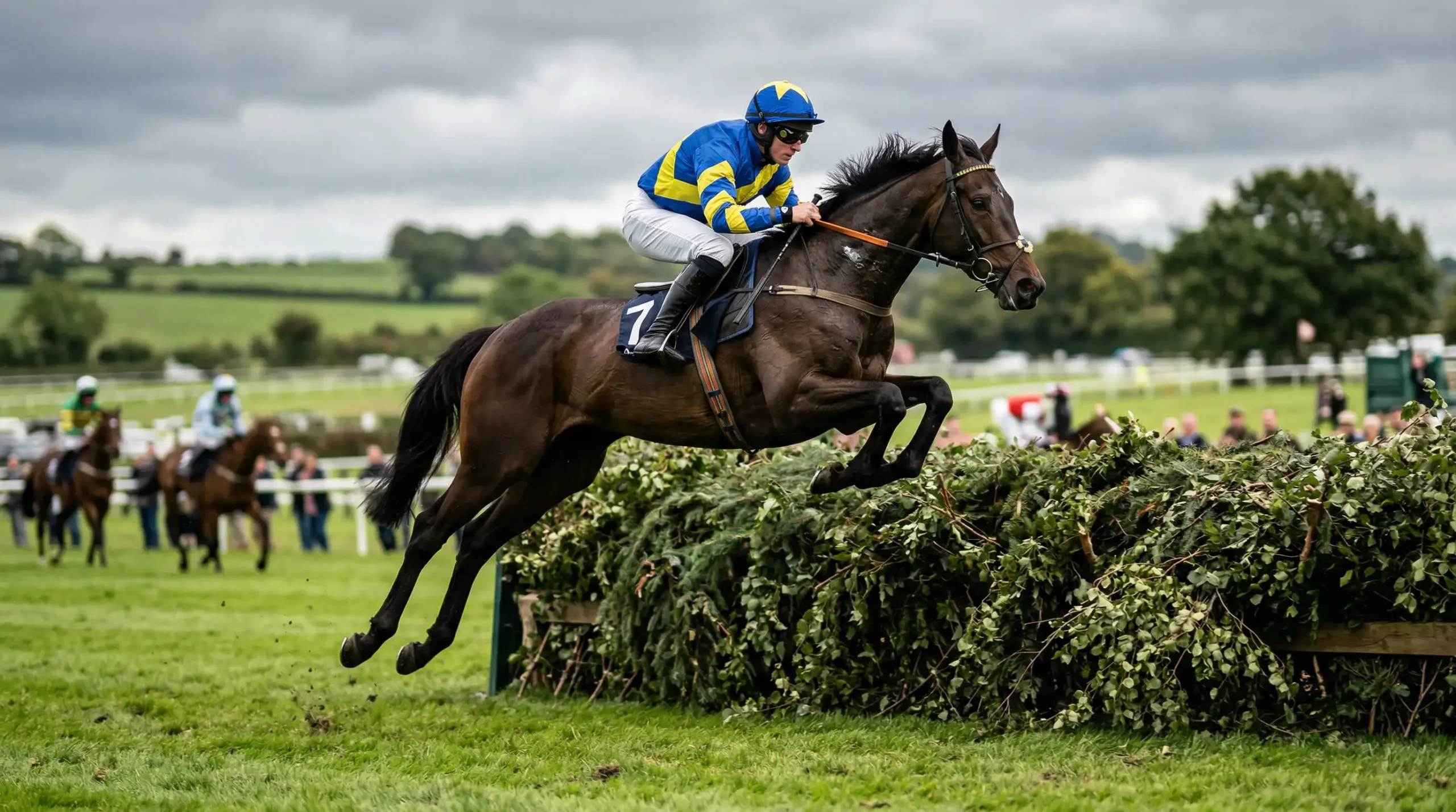 Paard springt over een hindernis tijdens een steeplechase
